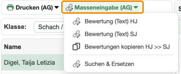 Menü 'Masseneingabe (AG)'